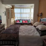 Disfruta Vina Del Mar